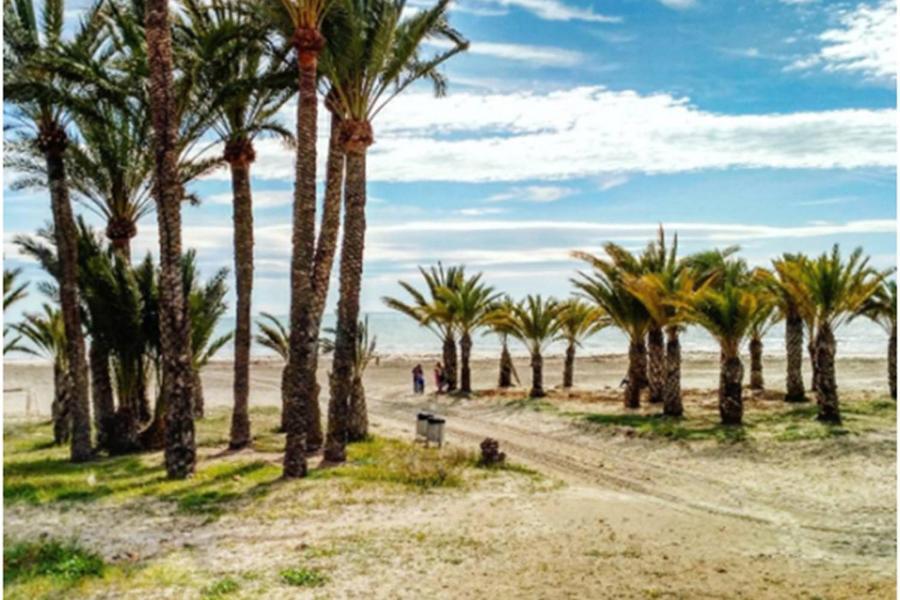 Apartamentoen La Playa, 200 Mts De La Playa Nuevo Santa Pola Ngoại thất bức ảnh
